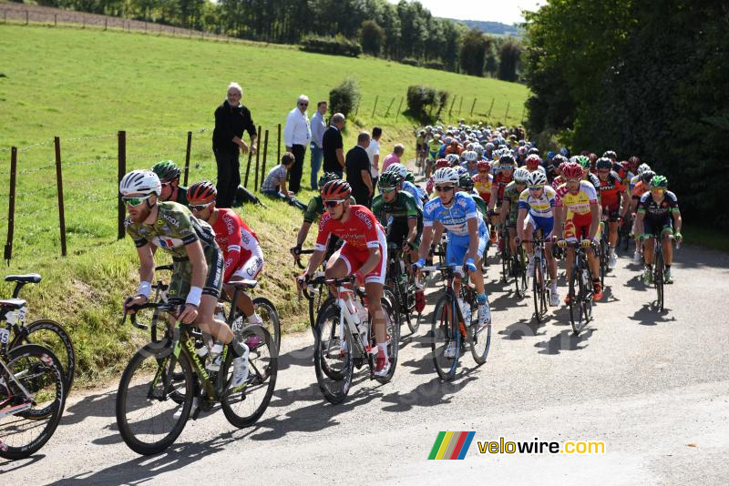 Le peloton dans la montée de Teneur