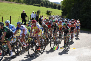 Le peloton dans la montée de Teneur (2) (362x)