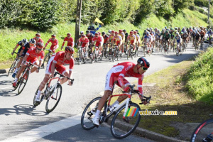 The Cofidis team in front of the peloton (322x)