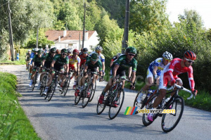 The peloton in Bomy (2) (249x)