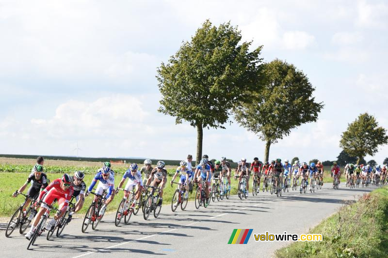 Het peloton vlakbij Coyecques