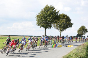 Le peloton près de Coyecques (348x)