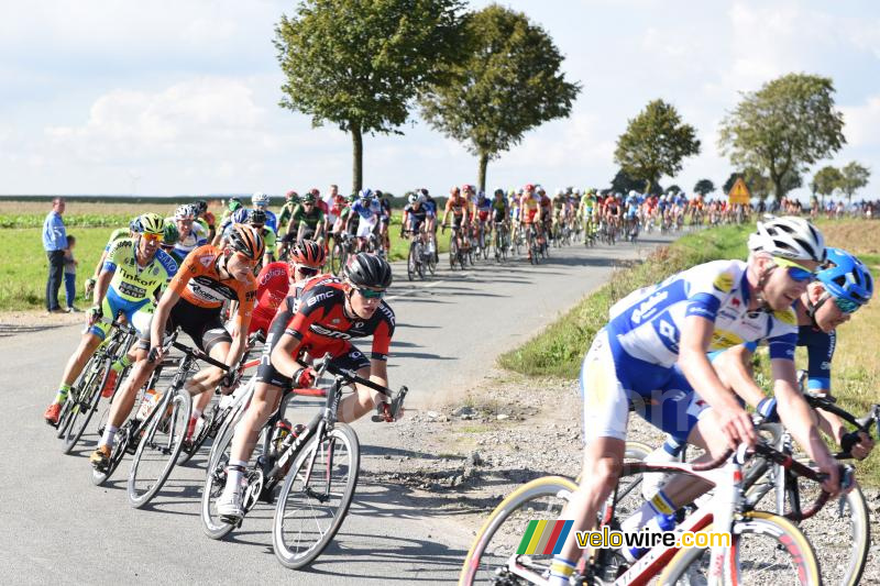 The peloton close to Coyecques (3)