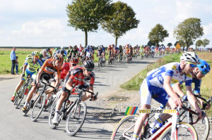 The peloton close to Coyecques (3) (306x)