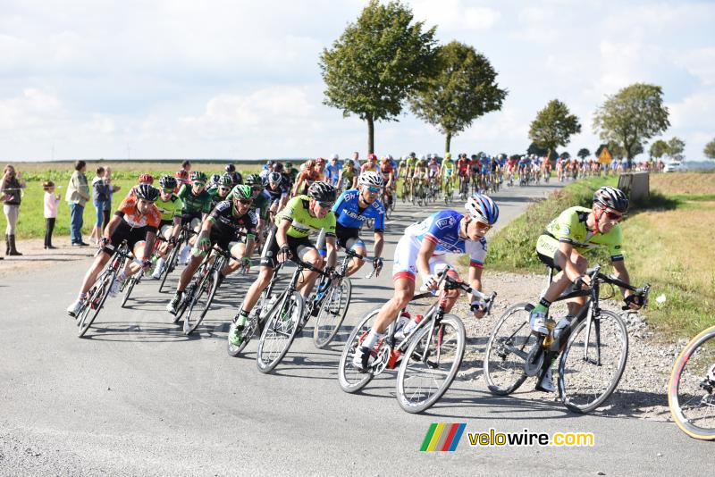 Het peloton vlakbij Coyecques (4)