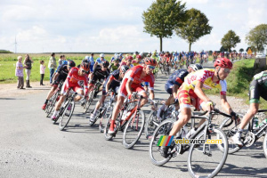 The peloton close to Coyecques (5) (273x)