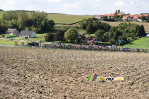 The peloton in the climb at Estrée-Blanche (318x)