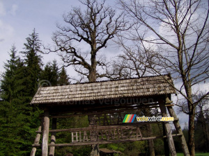 Stara Białowieza (the old Białowieska) (176x)