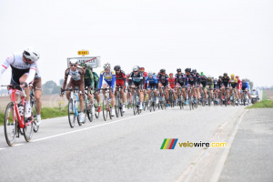 Le peloton à Gérainville (2) (354x)