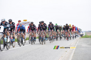 Le peloton à Gérainville (3) (371x)