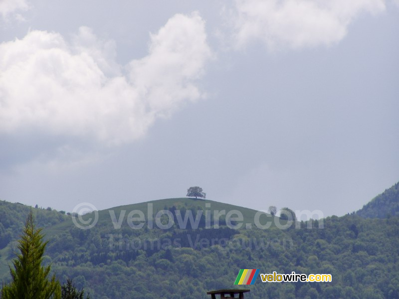 Een eenzame boom op een berg in de buurt van Grenoble