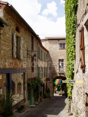 Cordes-sur-Ciel (231x)