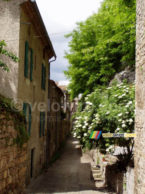 Cordes-sur-Ciel (200x)