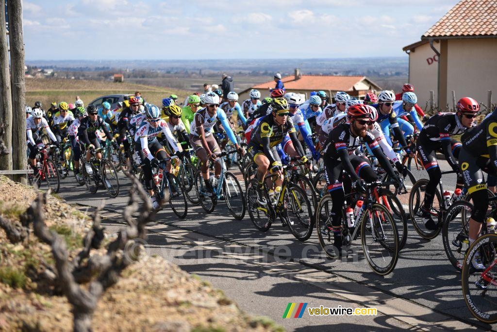 The peloton on its way to km 0 (2)