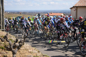 The peloton on its way to km 0 (2) (452x)