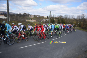 The peloton close to Fleurie (357x)