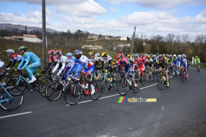 The peloton close to Fleurie (2) (352x)