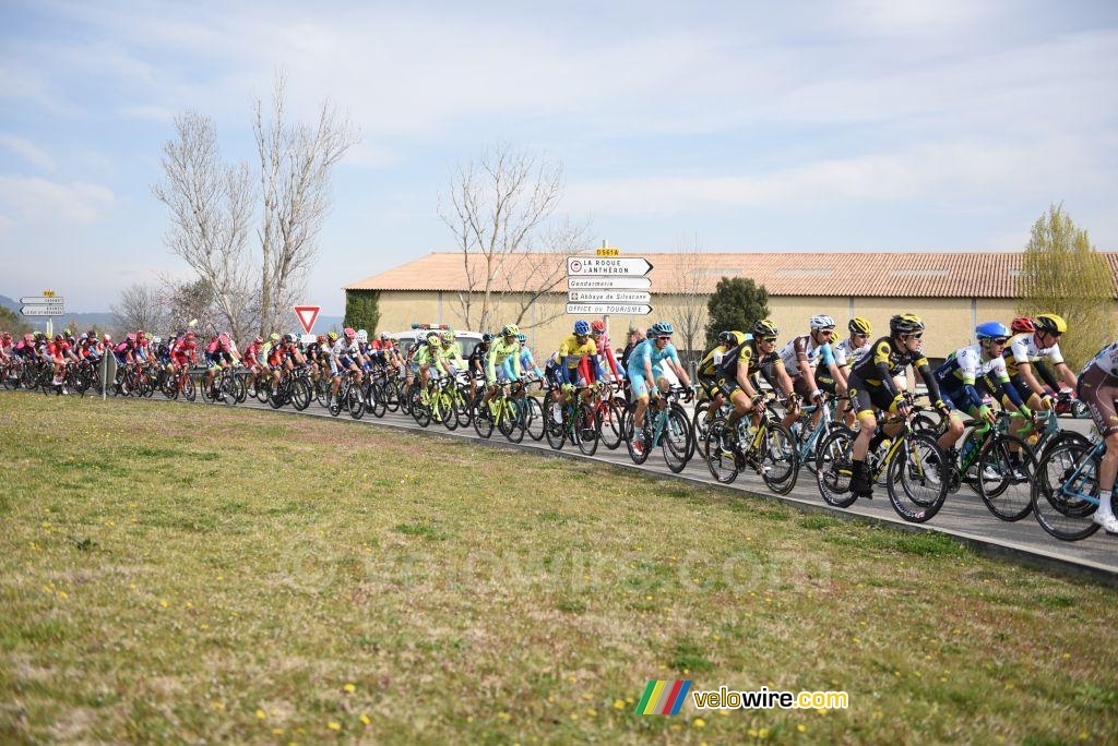 The peloton in Roque d'Antheron (2)