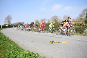 Le peloton dans le paysage nantais (2) (491x)