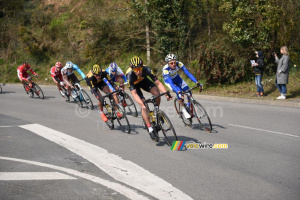 Le peloton en poursuite (2) (517x)