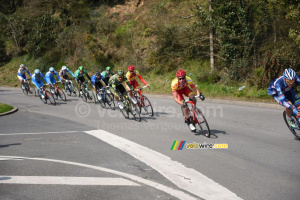 Le peloton en poursuite (3) (507x)