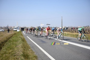 The breakaway with 17 riders in the wineyards (395x)