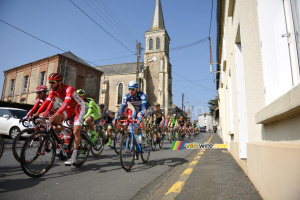 Le peloton à Toutlemonde (5) (774x)