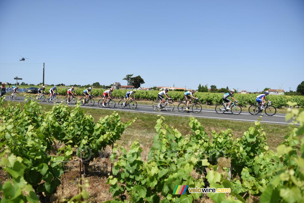 Le groupe de tête dans les vignes