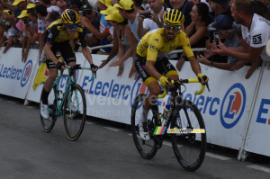 Julian Alaphilippe (Deceuninck - Quick-Step) (6161x)