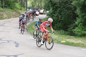 Le groupe de tête dans la première montée du Mont Ventoux (173x)