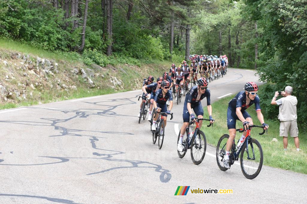 Het peloton in de eerste klim van de Mont Ventoux