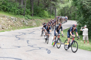 Le peloton dans la première montée du Mont Ventoux (641x)