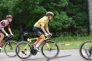 Tadej Pogacar (UAE Team Emirates), yellow jersey (206x)