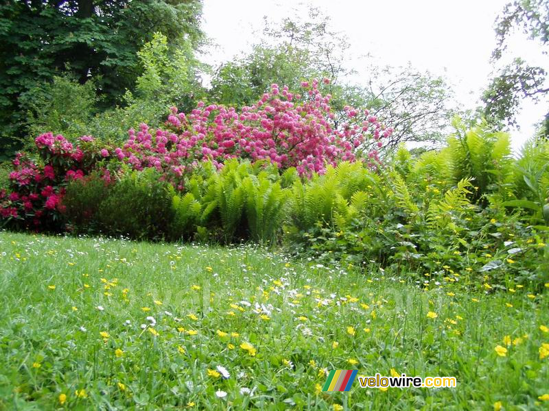 The garden of the castle in Fontainebleau