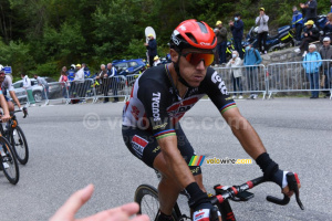 Philippe Gilbert (Lotto Soudal) (239x)