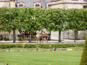 Une calèche dans le jardin du château de Fontainebleau (224x)