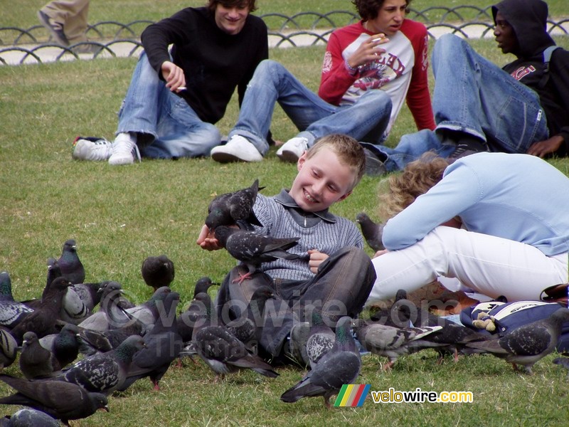 Place des Vosges : un petit garçon avec un troupeau de pigeons