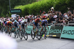 Tim Merlier (Soudal Quick-Step) on his way to victory, ahead of Jonathan Milan (Lidl-Trek) and Phil Bauhaus (Bahrain Victorious) (78x)