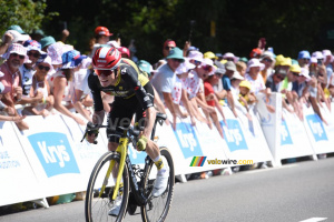 Jonas Vingegaard (Team Visma | Lease a Bike) (38x)