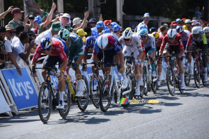 The final sprint in Chateauroux, won by Tim Merlier (Soudal Quick-Step) in the end, here still in 5th position (37x)