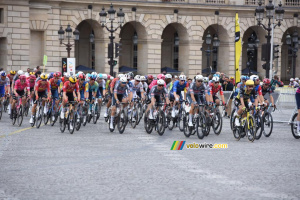 Le peloton au premier passage sur la Place de la Concorde (35x)