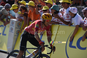Tobias Johannessen (étape 19) (22x)