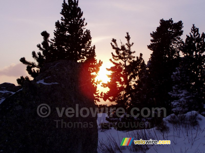 Le soleil à travers les arbres