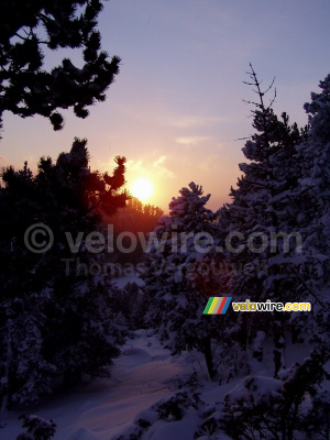 The sunset in a wintery landscape (449x)