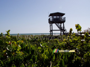 Coast guard tower on the beach of Sarasota (441x)