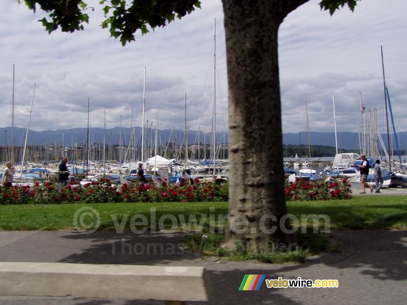 De haven van Genève