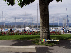 The harbour of Geneva (207x)