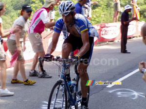 George Hincapie (731x)