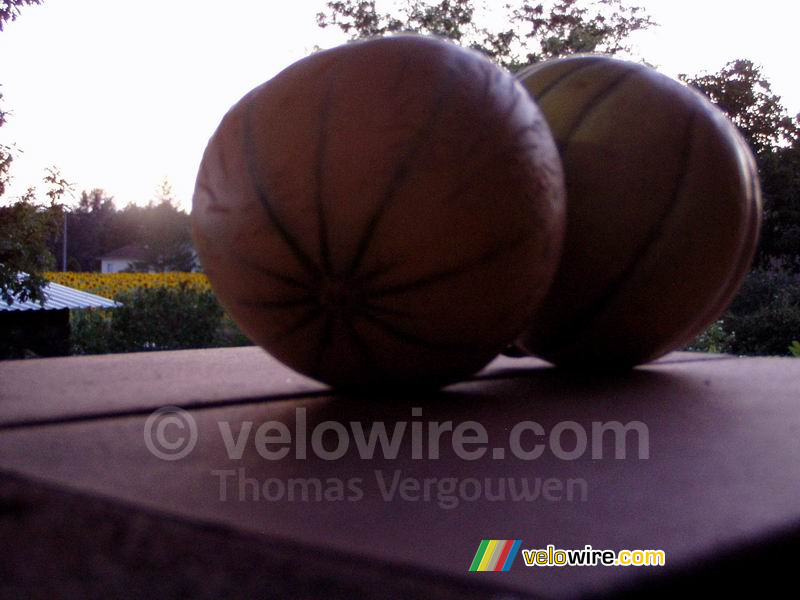 Une nature morte de deux melons