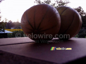 Une nature morte de deux melons (407x)